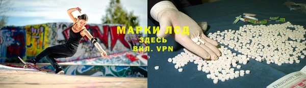 твердый Аркадак