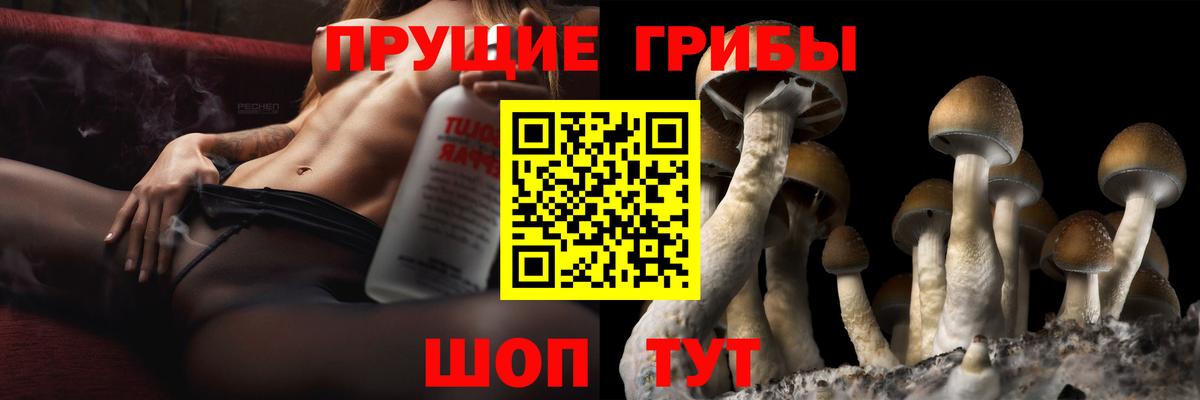 Галлюциногенные грибы Magic Shrooms  Вход с VPN  Нефтекамск 